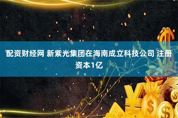 配资财经网 新紫光集团在海南成立科技公司 注册资本1亿