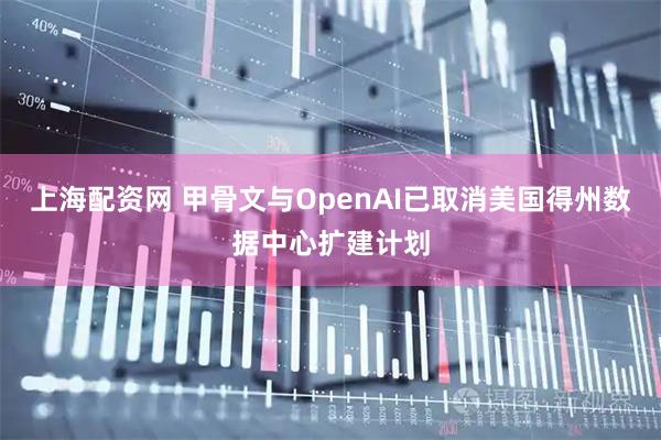 上海配资网 甲骨文与OpenAI已取消美国得州数据中心扩建计划