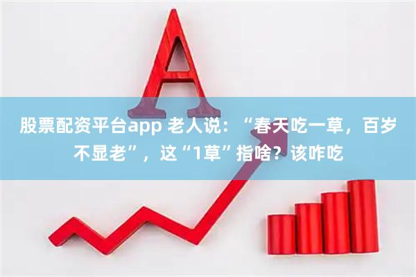 股票配资平台app 老人说：“春天吃一草，百岁不显老”，这“1草”指啥？该咋吃